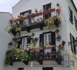Ausflug nach Gibraltar