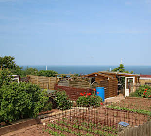 Kleingärten im Oberland