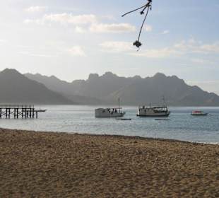 Morgenstimmung am Strand v. Komodo