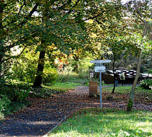 Impressionen vom herbstlichen Freiland
