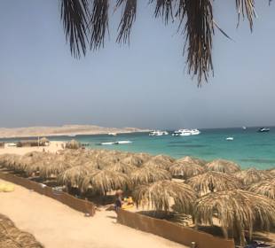 Giftun / Mahmya Inseln