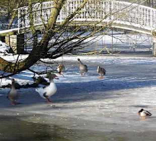 ImpressionOstern2013