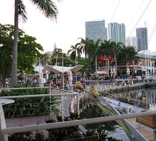 Eindrücke Bayside Marketplace