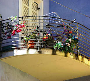 Bozen im Bild Eindrücke-Impressionen