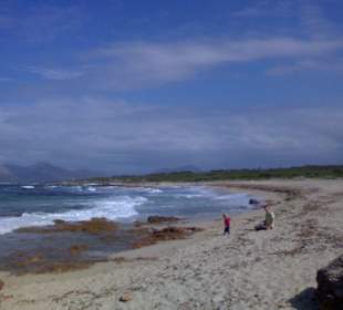 Naturstrand Can Picafort