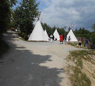 Fluch der Piraten 2013