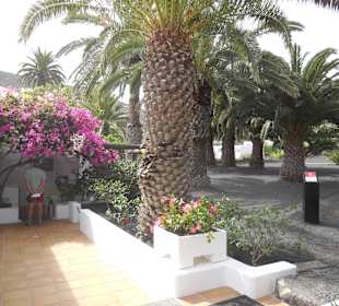 Museo Cesar Manrique