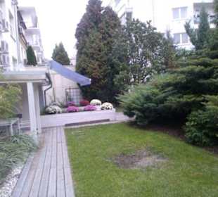 Zieleń przed restauracją