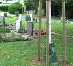 Friedhof Derendingen