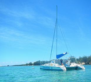 Der gemütliche Katamaran "Dreamcatcher"