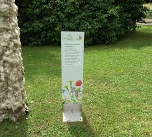 Blühendes Neresheim 2021