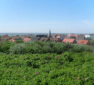 Einen Blick über Juist, Richtung Hafen