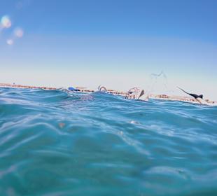 Schnorcheln Hausriff Concorde Moreen Beach Resort & Spa