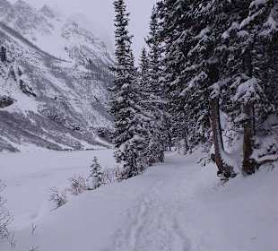 Wanderweg am Lake Louise
