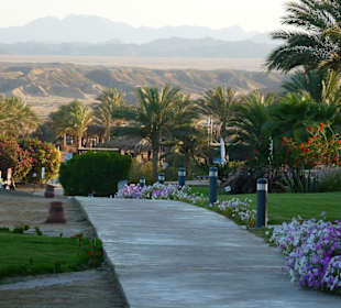 Coraya Bay, Rundgang