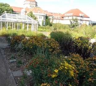 Botanischer Garten München