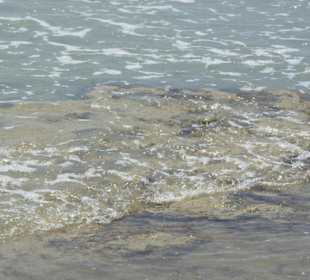 Strand von Bibione 06-2010
