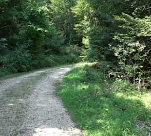 Premiumwanderweg "hochgesprudelt"
