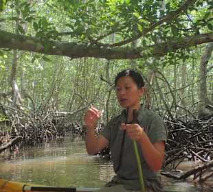 Naturpark-Guide erklärt beim Kayakfahren die Umgebung