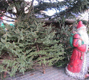 Altstadt Landau Weihnachtsmarkt