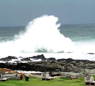 Wellenbrecher im Tsitsikama National Park