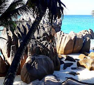 Anse Patates