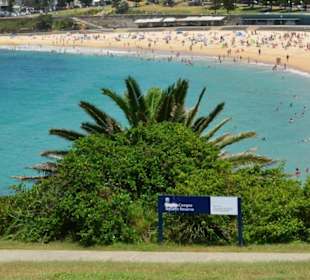 Coogee Beach