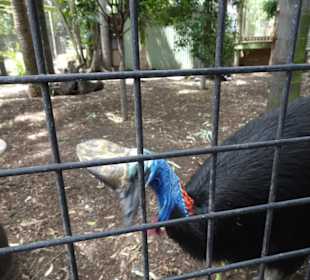 Stadtrundgang Sydney