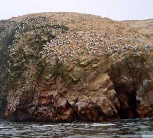 Iles Ballestas