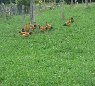 Interessantes Museum