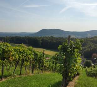 Blick nach Tieschen ( Königsberg )