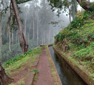 Levada dos Tornos