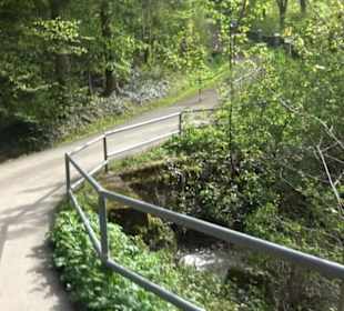 Wallfahrtskirche Mariazell Boll