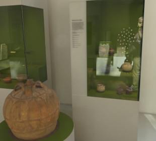 Rheinisches Landesmuseum