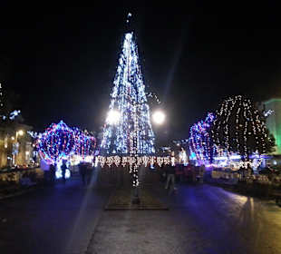 Rosenplatz / Piata Trandafirilor