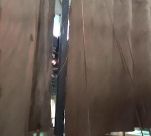 Meeresmuseum Stralsund