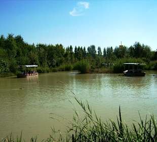 Schifffahrt