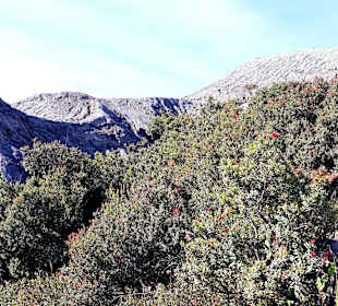 In der Caldera