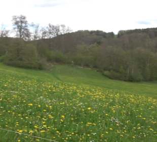 Premiumwanderweg Hochgebürzelt