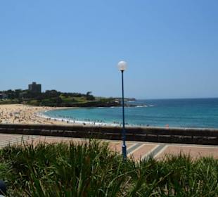 Coogee Beach