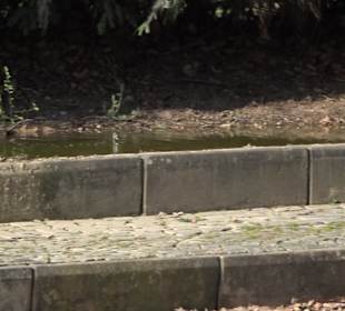 Unterer Schlossgarten Stuttgart