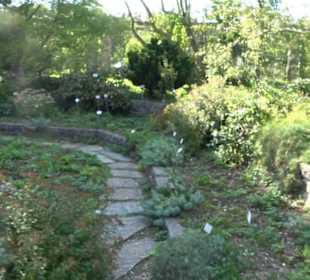 Botanischer Garten München