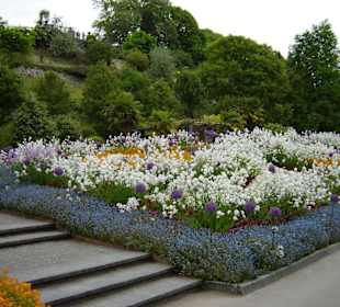 Anordnung verschiedener Blumen
