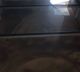 Dinosaurier Museum Altmühltal