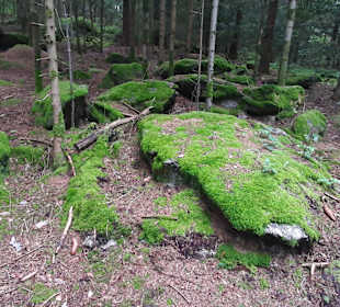 Wandern Kollnburg