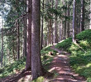 Wandern Hochpillberg