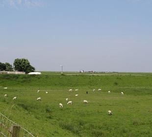 Blick Richtung Nordsee
