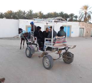 Palmenoase und Kutschfahrt