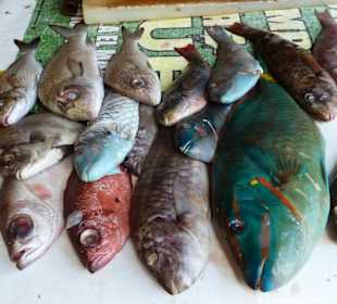 Rybki na targu w Higuey