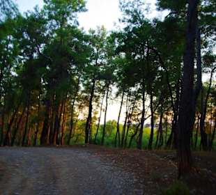 Sulahikulle - Vergessene Stadt